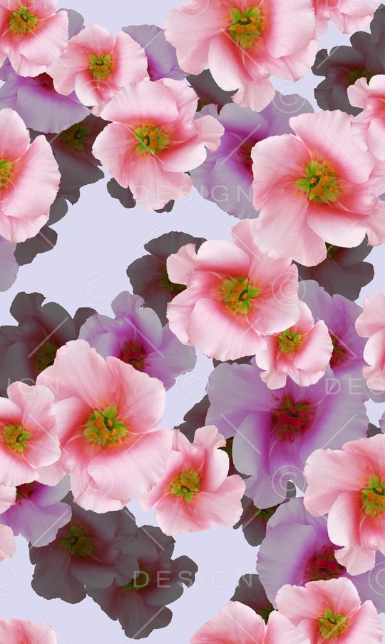 印花华亿平台图片