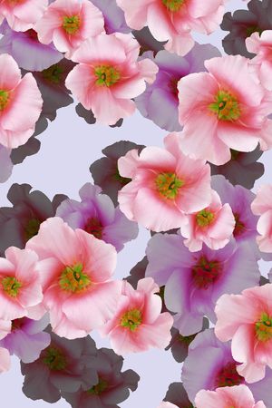 印花华亿平台图片