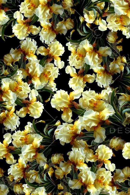 年轻女装印花华亿平台图片