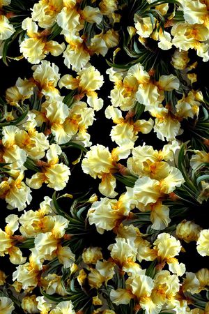 年轻女装印花华亿平台图片