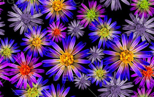 印花华亿平台图片