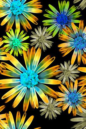 印花华亿平台图片