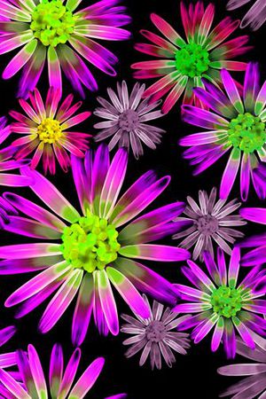 印花华亿平台图片