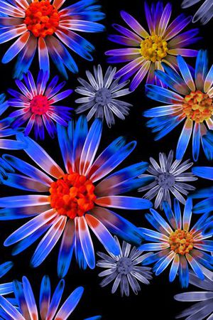 印花华亿平台图片