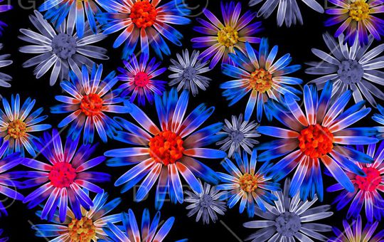 印花华亿平台图片