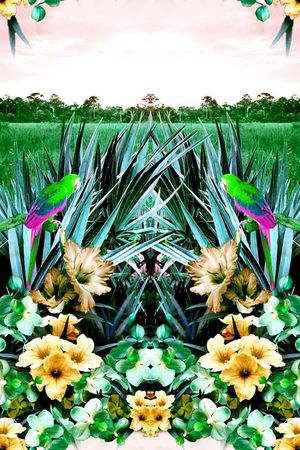 镜像对称印花华亿平台图片