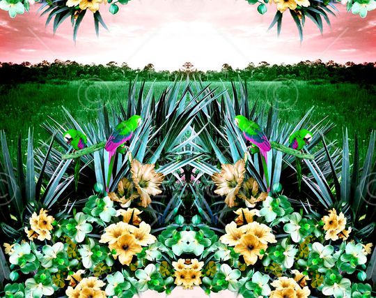 镜像对称印花华亿平台图片