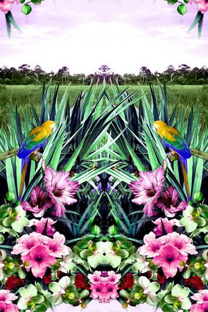 印花华亿平台图片