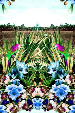 印花华亿平台图片