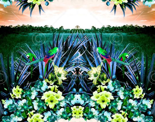 印花华亿平台图片