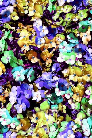 印花华亿平台图片