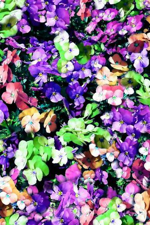 印花华亿平台图片