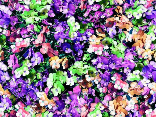 印花华亿平台图片