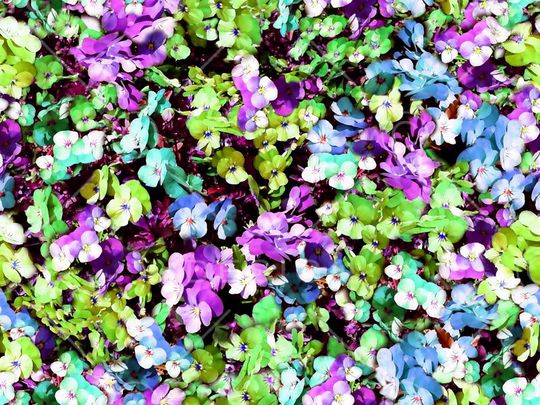 印花华亿平台图片