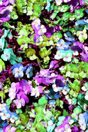 印花华亿平台图片