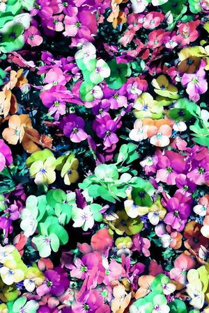 印花华亿平台图片