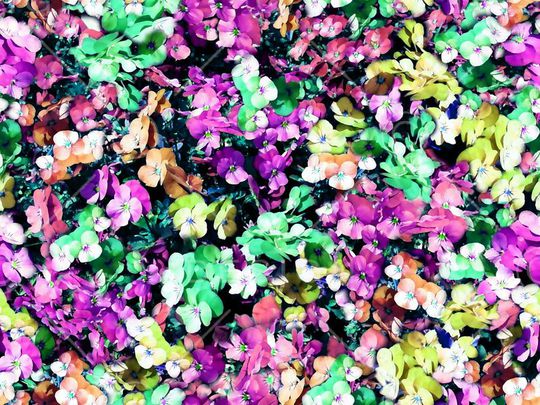 印花华亿平台图片