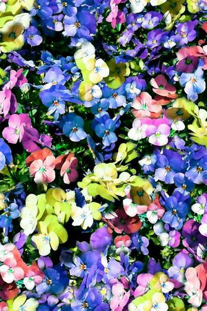 印花华亿平台图片