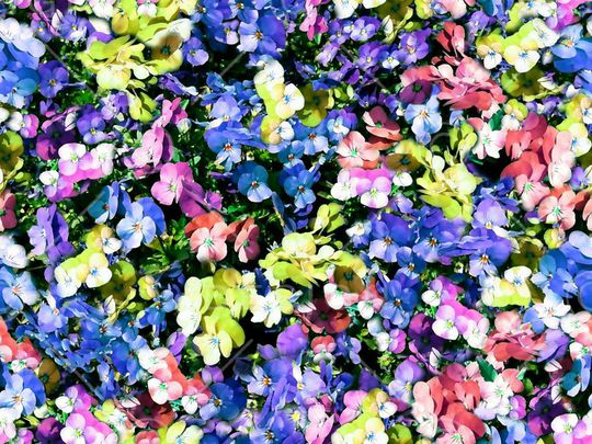 印花华亿平台图片