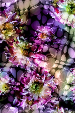 印花华亿平台图片