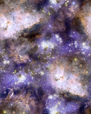 164809-WL7-0664F副本