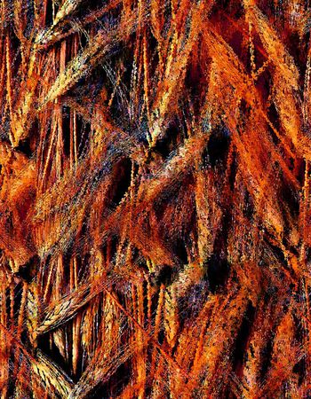 164860-WL7-0696F配色1