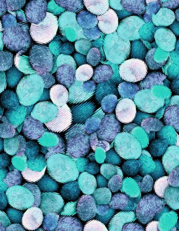 164872-WL8-0704F配色1