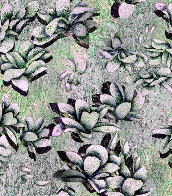 164894-WL8-0720F配色5