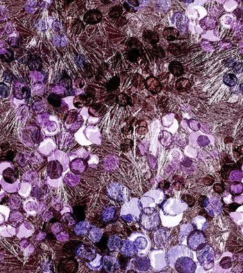 164896-WL8-0727F配色1