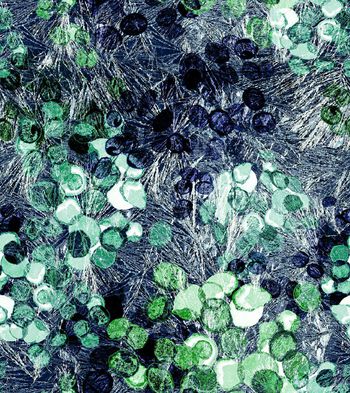 164898-WL8-0727F配色3