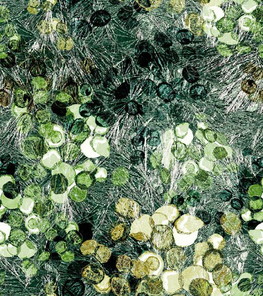 印花华亿平台图片