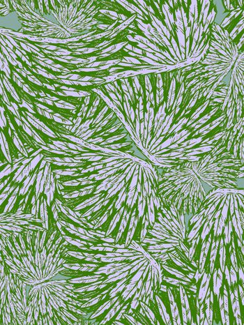 164909-WL8-0739F配色2