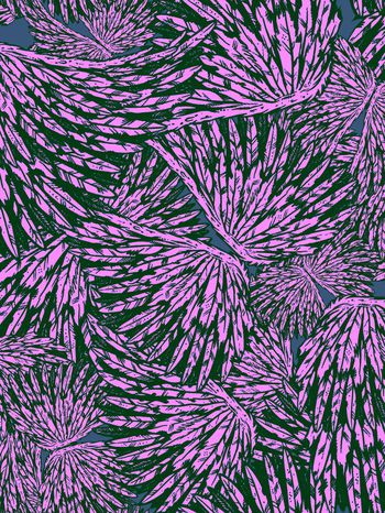 164910-WL8-0739F配色3