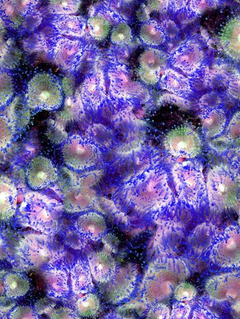 164953-WL8-0763F配色2