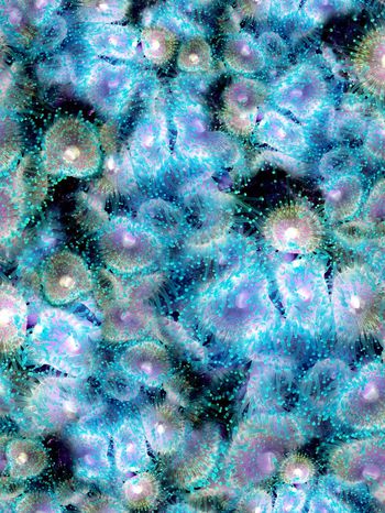 164956-WL8-0763F配色5