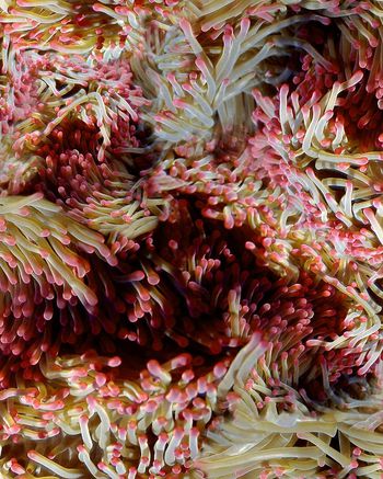 164969-WL8-0773F副本