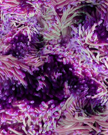 164974-WL8-0773F配色3