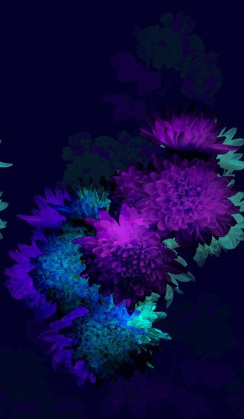 164985-WL8-0778F配色2