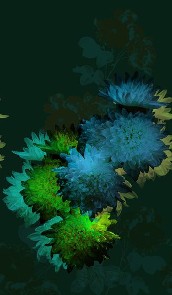 164986-WL8-0778F配色3