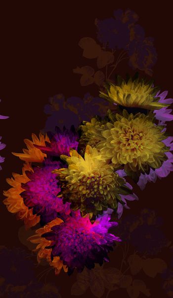 164987-WL8-0778F配色4