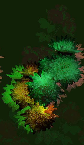 164988-WL8-0778F配色5