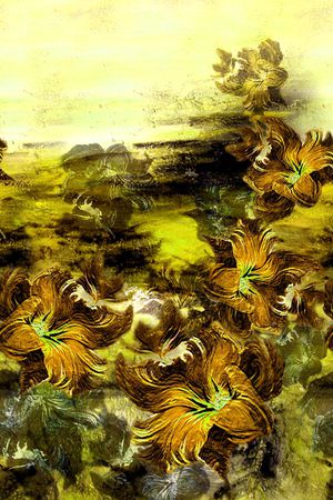 印花华亿平台图片