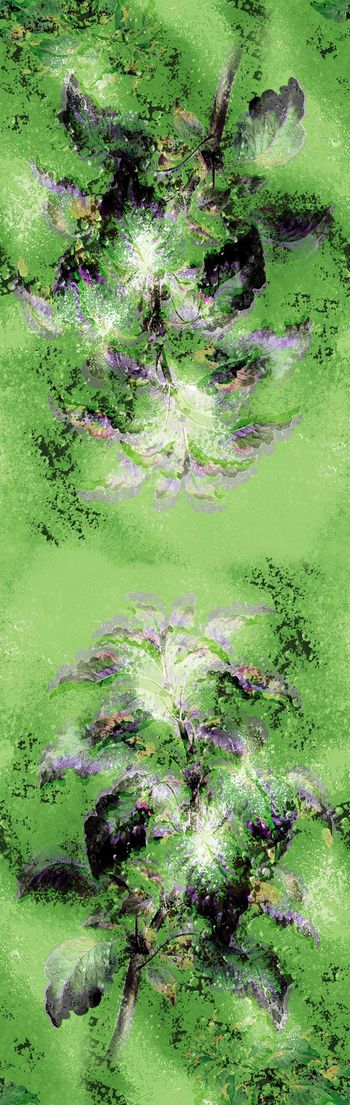 165038-wl9-0805F长巾配色1