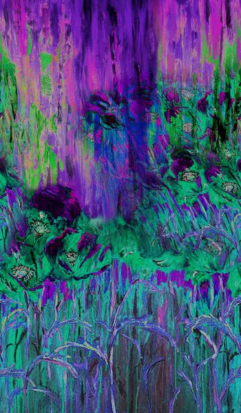 165055-wl9-0811F副本