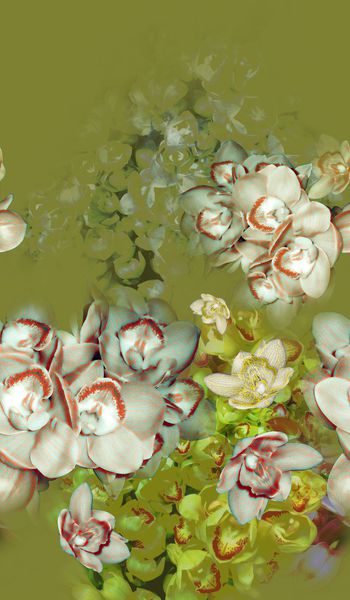 165067-wl9-0815F副本