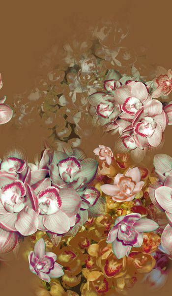 165068-wl9-0815F配色1