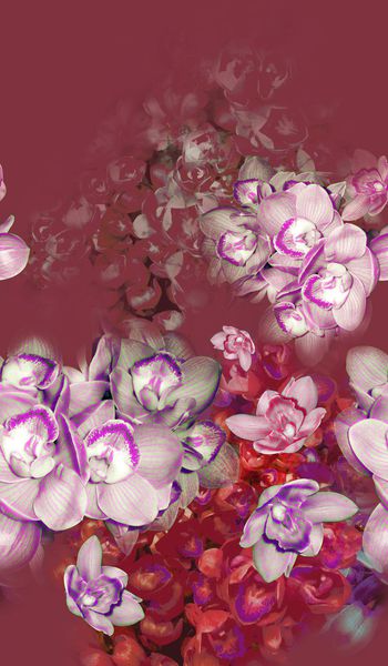 165069-wl9-0815F配色2