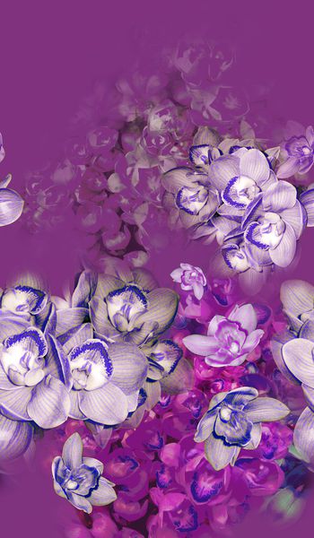 165070-wl9-0815F配色3