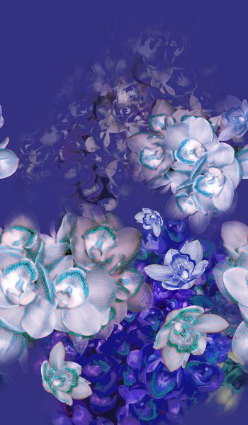 165071-wl9-0815F配色4