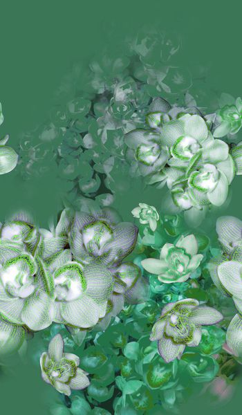 165072-wl9-0815F配色5